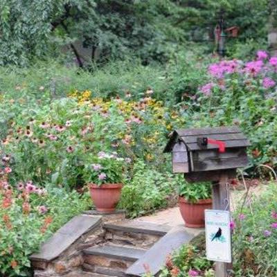 Jardín natural o silvestre