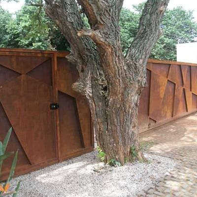 Extracción de raíces