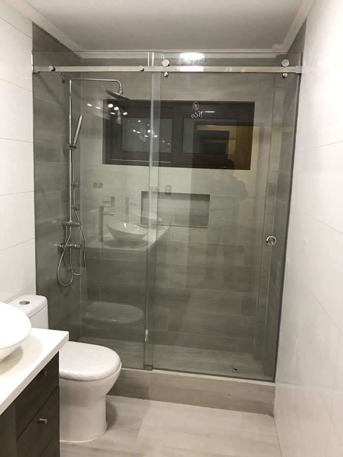 Shower door