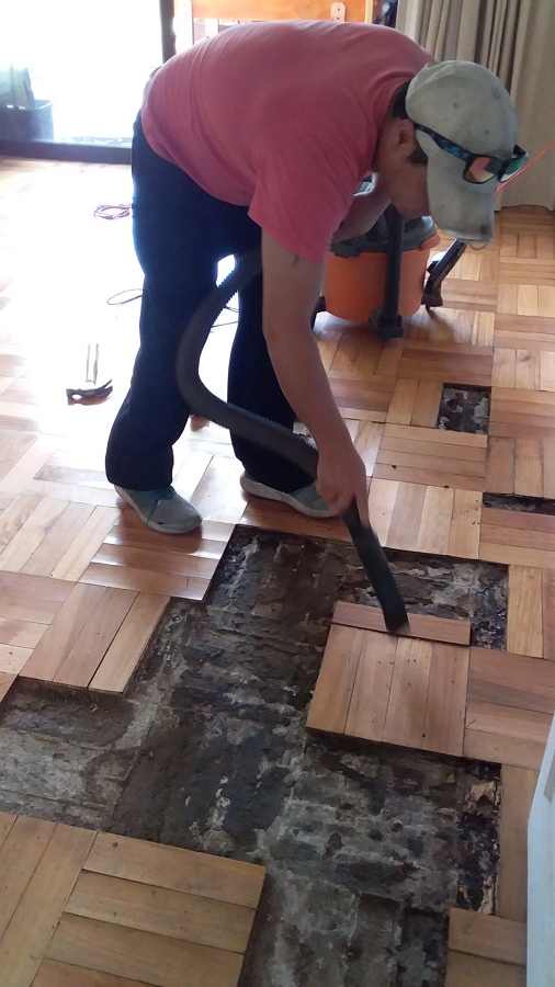 reparación de eucalipto