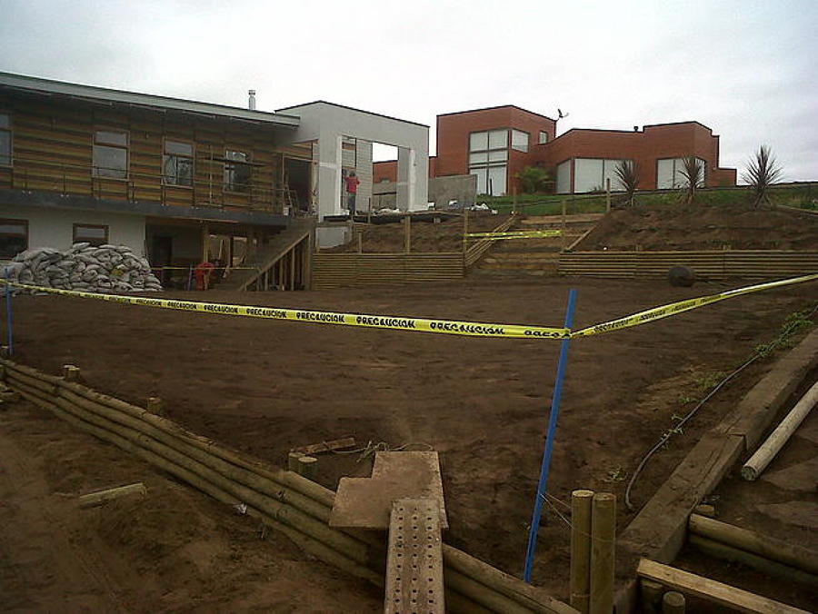 Germinación de césped