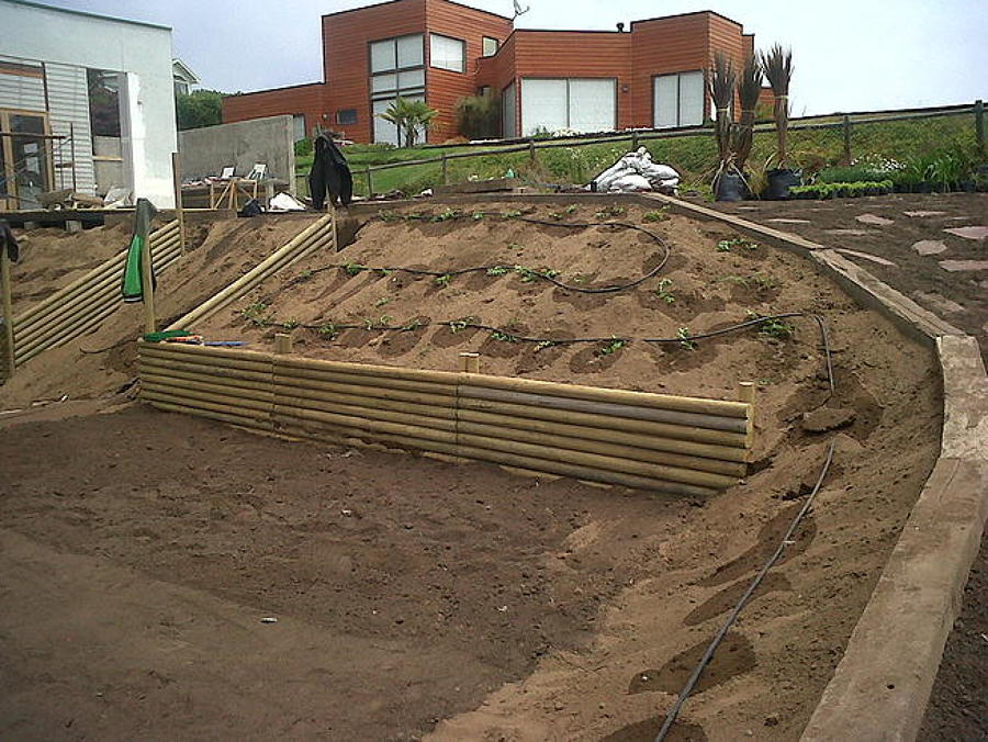Muro de rollizos y plantación de docas