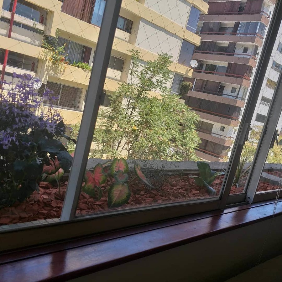 Proyecto Hernando de Aguirre