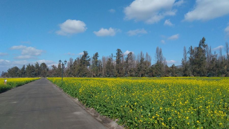 BHAUS CONSTRUCCIÓN DE CASAS LLAVE EN MANO CON PANELES SIP
