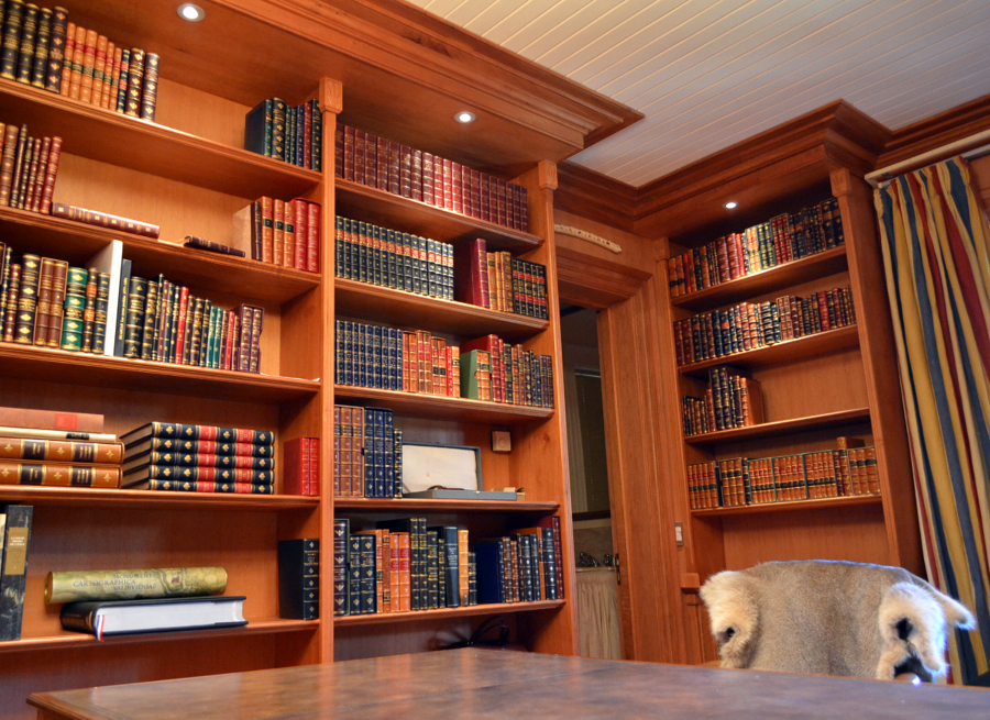 Remodelacion Biblioteca Casona Los Patios