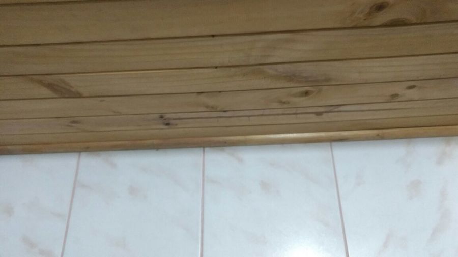 Cielo raso en Madera