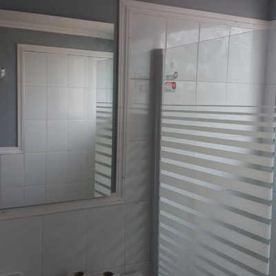 Espejos y shower door