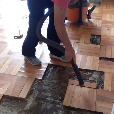 reparación de eucalipto