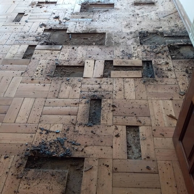 levantamiento de palmetas sueltas o rotas