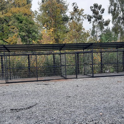 Proyecto Supermercado el Trebol Vilcun