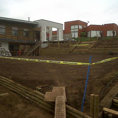 Germinación de césped