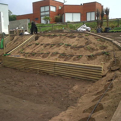 Muro de rollizos y plantación de docas