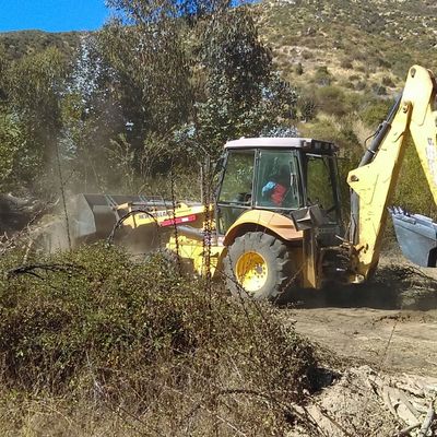 LIMPIEZA PROPIEDAD AGRICOLA ALCHEMYSTA LTDA.