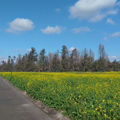 BHAUS CONSTRUCCIÓN DE CASAS LLAVE EN MANO CON PANELES SIP
