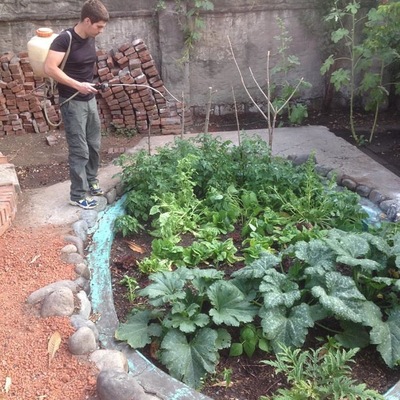 Aplicación de biopreparados