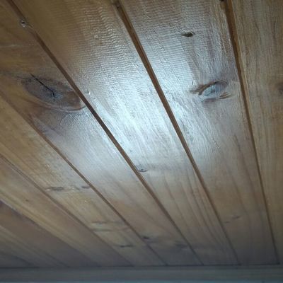 Cielo raso en Madera