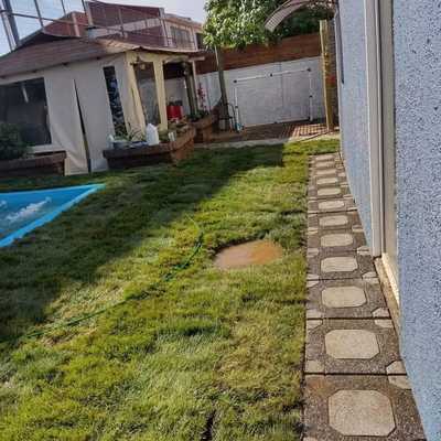 Instalacion de pasto