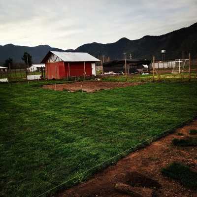 Instalacion de pasto