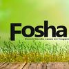 Servicios Fosha