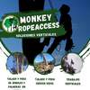Monkey Rope Access