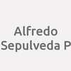 Alfredo Sepulveda P.