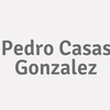 Pedro Casas Gonzalez