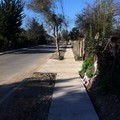 Construcción de Veredas Avenida El Rincón - La Punta