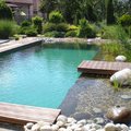 piscina natural en entorno ecológico 