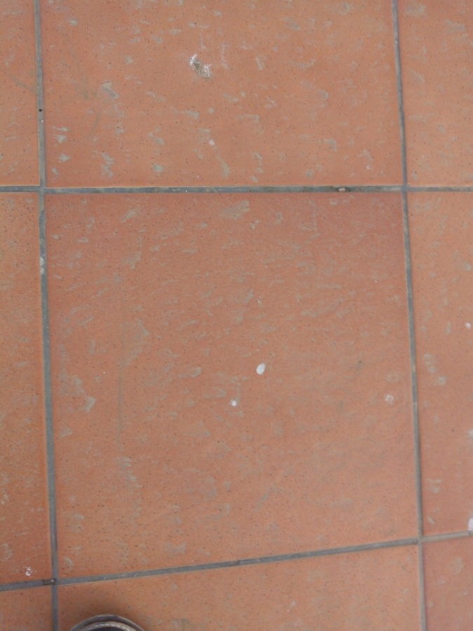 Cerámico existente a demoler 15-01-2019