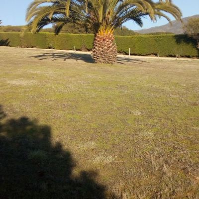 Mantención Áreas Verdes