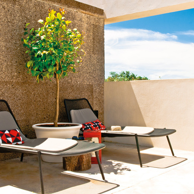 Terraza con muro de corcho 