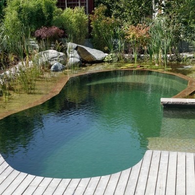 piscina ecológica ovalada 
