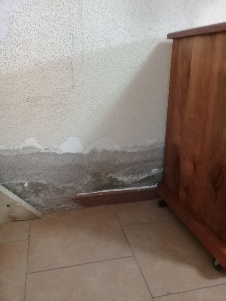 Reparación de humedades